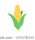 沒有主線的扁平玉米插圖 137176315