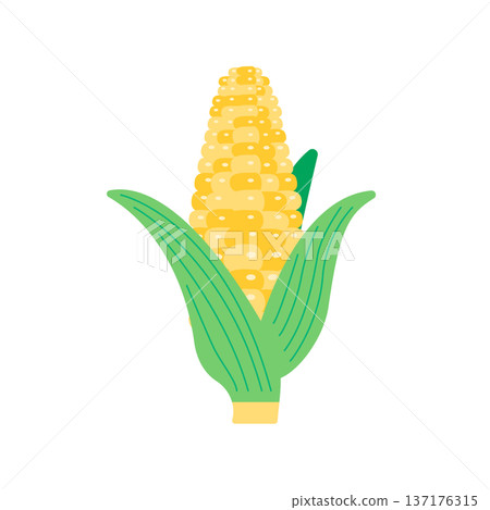 沒有主線的扁平玉米插圖 137176315