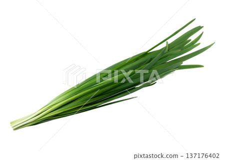 A bunch of chives on a transparent background (png) 137176402