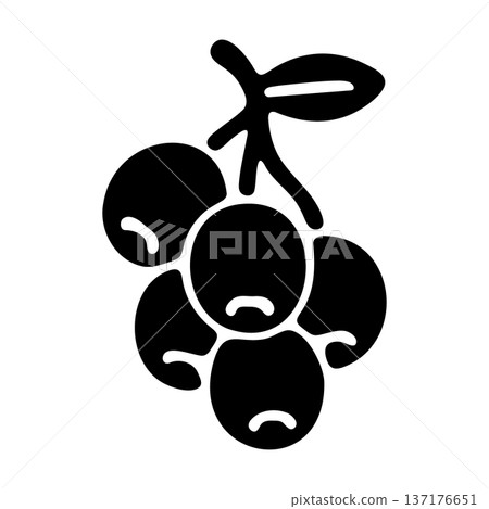 Stylized Black and White Icon of Berries on a Stem with a Leaf 137176651