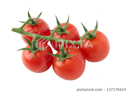 Cherry tomatoes with bunches on a transparent background (png) 137176824