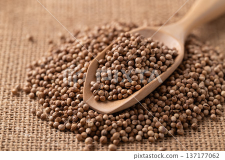 Coriander seeds in a wooden spoon, Thai food ingredients Coriander seeds in a wooden spoon, Thai food ingredients 137177062
