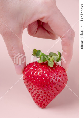 Delicious seasonal strawberries Delicious seasonal strawberries 137177254