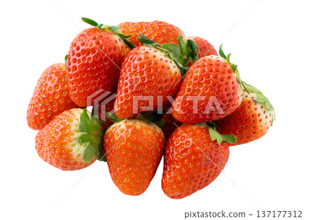 Many strawberries (Tochiotome) on a transparent background (png) 137177312