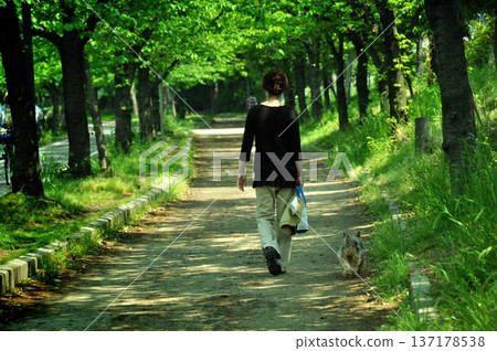 Walk with a dog Walk with a dog 137178538