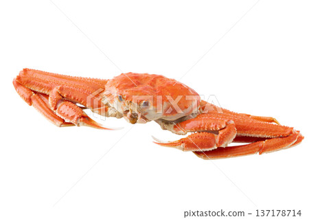 A bowl of giant snow crab on a transparent background (png) A bowl of giant snow crab on a transparent background (png) 137178714