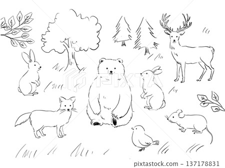 Simple hand drawn forest animal illustrations Simple hand drawn forest animal illustrations 137178831