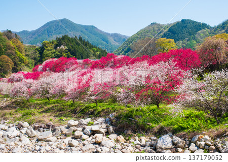 Achi Village, Hanamomo Village Achi Village, Hanamomo Village 137179052
