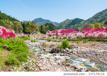 Achi Village, Hanamomo Village 137179118