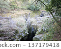 (Takachiho Gorge) A waterfall flowing between rocks 137179418