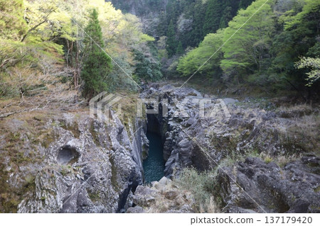 (高千穂峽)根佐目之塔古 (高千穂峽)根佐目之塔古 137179420
