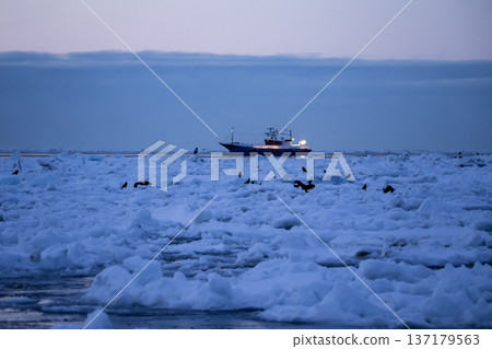 Drift ice and fishing boats 137179563