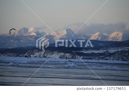 Shiretoko mountain range in winter 137179651