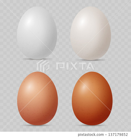 Realistic Chicken Egg Set. Vector White, Beige and Brown Raw Food Collection for Easter or Farm Design. 137179852