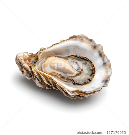 Freshly Opened Oyster with Pearl on White Background for Culinary and Seafood Themes 137179953