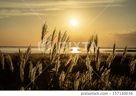 野付灣日落 137180036