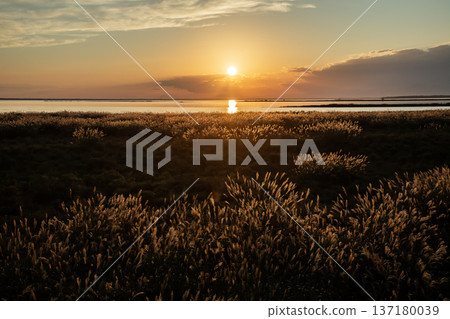 野付灣日落 137180039