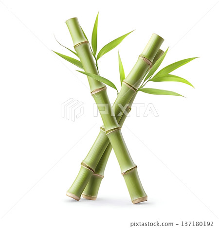 Delicious Creme Brulee Dessert in a White Ceramic Dish Ready to Be Enjoyed 137180192