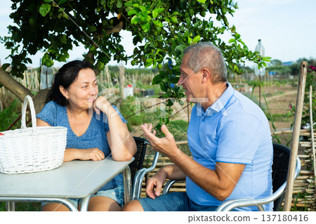 Mature couple sitting at table in backyard garden and talking 137180416
