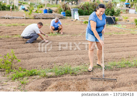 Aged woman raking soil on patch in vegetable garden 137180418