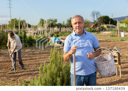 Portrait of elderly positive man on his farm on summer day Portrait of elderly positive man on his farm on summer day 137180439