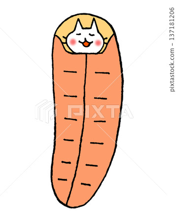 Cute sleeping bag illustration Cute sleeping bag illustration 137181206