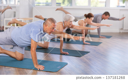 Diligent women and men doing body stretching before yoga class in a fitness studio 137181268