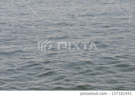 Sea Sea 137181441