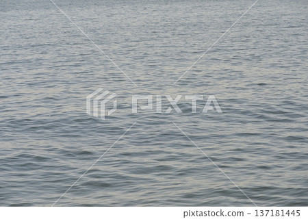 Sea Sea 137181445