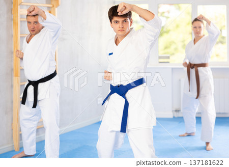 Athletes have starting position and repeating sequence of punches and painful techniques in kata Athletes have starting position and repeating sequence of punches and painful techniques in kata 137181622