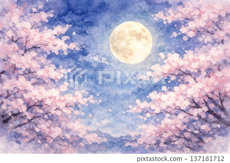 夜櫻盛開，櫻花，春天，夜景，水彩畫 137181712