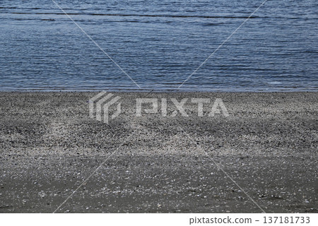 Nagisa Beach Nagisa Beach 137181733