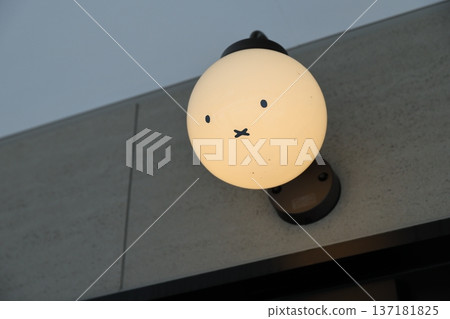 Lamp Lamp 137181825