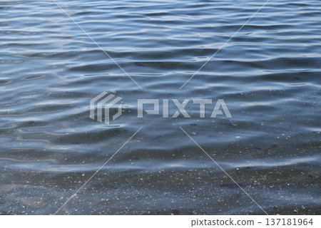 Sea surface Sea surface 137181964