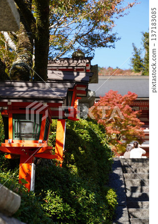 京都鞍馬寺進山路上的秋景 137183085