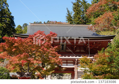 Autumn scenery of the approach to Kurama Temple in Kyoto Autumn scenery of the approach to Kurama Temple in Kyoto 137183086