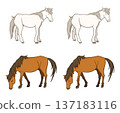 Various native horses 137183116