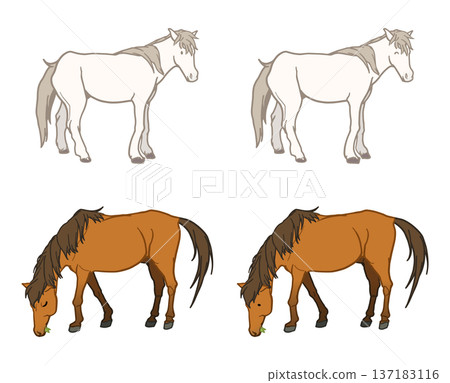 各種本地馬 137183116