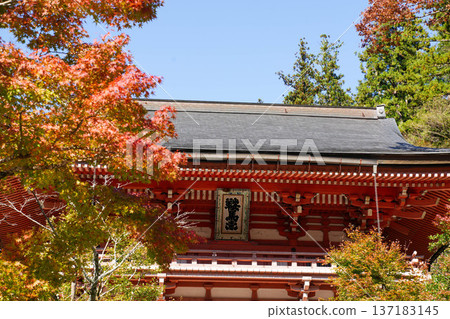 Autumn scenery of the approach to Kurama Temple in Kyoto 137183145