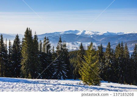 Snowy mountain landscape with trees in winter sunlight and clear sky Snowy mountain landscape with trees in winter sunlight and clear sky 137183208