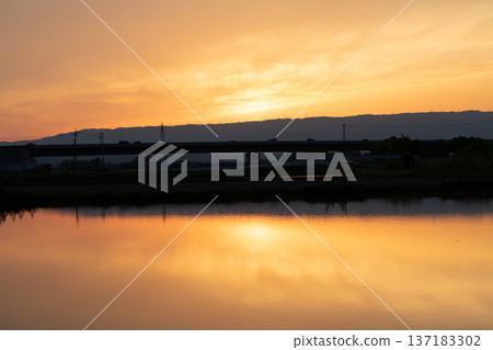 Sunset on the surface of the water Sunset on the surface of the water 137183302