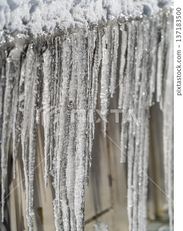 Transparent icicle on a gray background with copy space Transparent icicle on a gray background with copy space 137183500