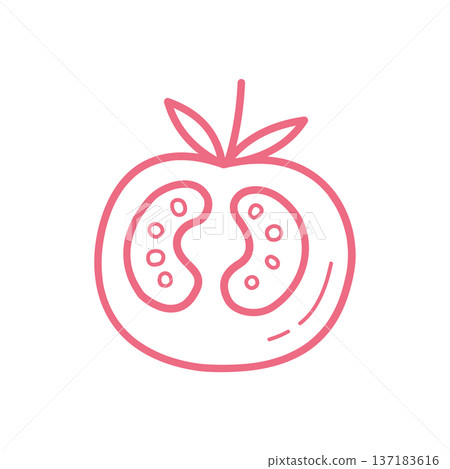 Hand Drawn Tomato Half Outline Icon for Healthy Food and Cooking Design Hand Drawn Tomato Half Outline Icon for Healthy Food and Cooking Design 137183616