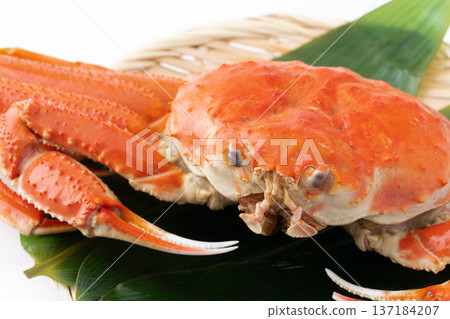 煮熟的巨型雪蟹特寫 煮熟的巨型雪蟹特寫 137184207