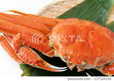 Close-up of a boiled giant snow crab Close-up of a boiled giant snow crab 137184208