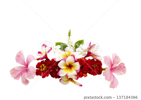 colorful flowers local flora of asia arrangement flat lay postcard style  137184366