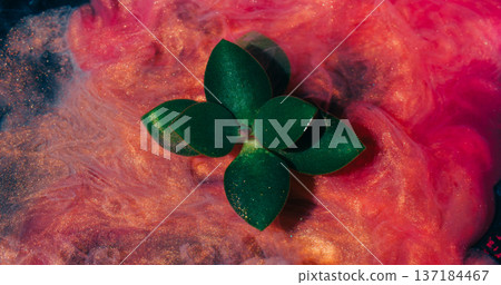 Plant ink swirl. Smoke flow blur. Green nature succulent abstract curl fog. Pink red sparkling color water mix on black background. Plant ink swirl. Smoke flow blur. Green nature succulent abstract curl fog. Pink red sparkling color water mix on black background. 137184467