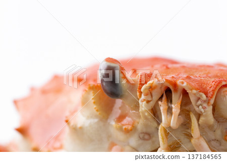 煮熟的巨型雪蟹臉部特寫 137184565