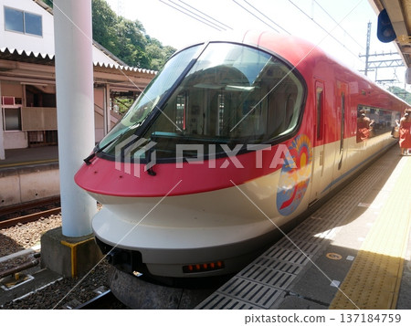 紅色伊勢志摩內膽 137184759