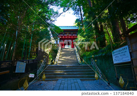 靜岡市久能山東照宮塔門 137184840